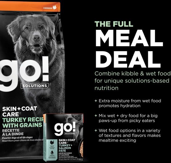 Go! Solutions Skin + Coat Care Turkey Recipe Dry Dog Food