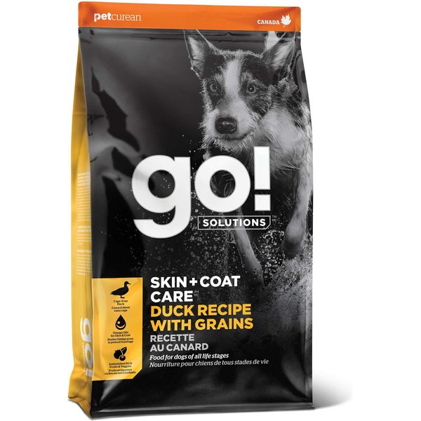 View of GO! SOLUTIONS Skin + Coat Care Salmon Recipe Dry Dog Food, 12-lb bag ...