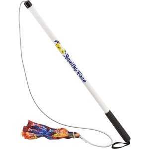 Squishy Face Studio Flirt Pole V2 with Lure Squeaky Dog Toy, Rainbow Tie Dye, Regular