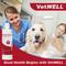 Show in main carousel: VetWELL Micoseb with Miconazole, Chlorhexidine & Aloe for Skin Infection Treatment & Conditions Medicated Dog & Cat Shampoo, 12-oz slide 4 of 4