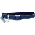 Euro-Dog Luxury Leather Martingale Dog Collar, Navy, Medium
