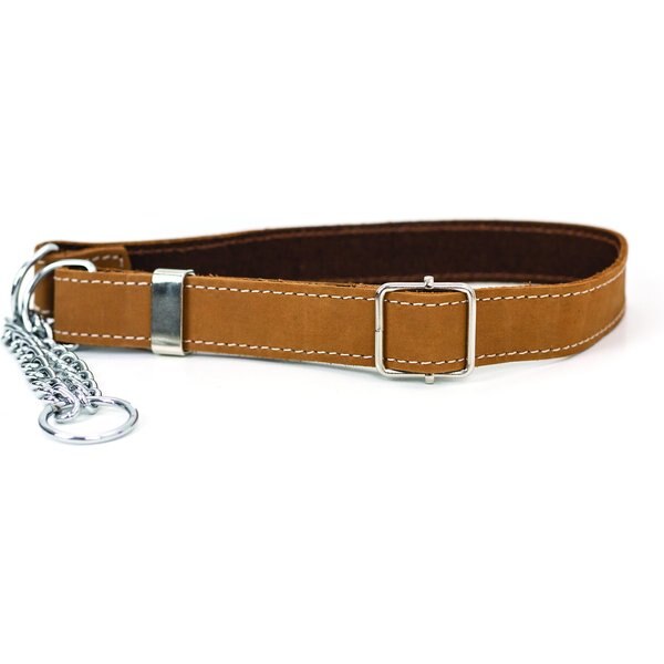 THE PERFECT DOG Command Training Dog Collar, Small/Medium