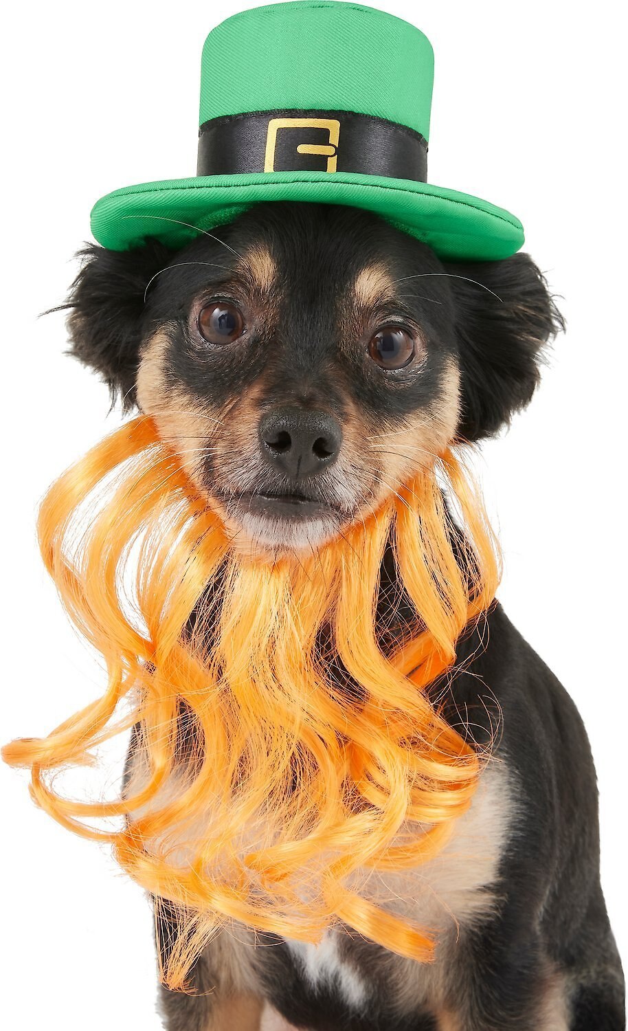 Bearded Dragons Accessories, Saint Patrick Day Hat