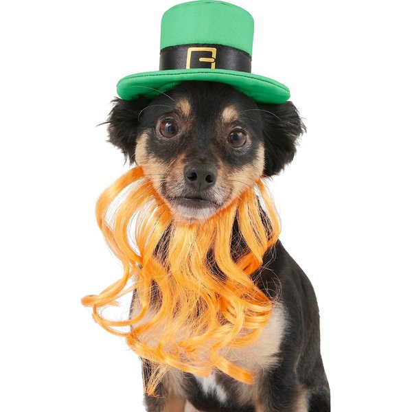 Bearded Dragons Accessories, Saint Patrick Day Hat