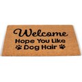 BirdRock Home Dog Hair' Coir Doormat