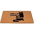 BirdRock Home One Cat Short' Coir Doormat