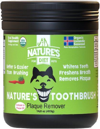 Nature's Diet Toothbrush Systemic Plaque Remover Dry Dog Food Topping, 14.8-oz jar slide 1 of 8