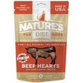 Nature's Diet Beef Heart Raw Freeze-Dried Dog Treats, 4-oz pouch