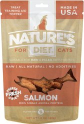 Nature's Diet Salmon Raw Freeze-Dried Cat Treats, 1-oz pouch