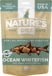 Nature's Diet Whitefish Raw Freeze-Dried Cat Treats, 1-oz pouch