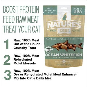 Nature's Diet Whitefish Raw Freeze-Dried Cat Treats, 1-oz pouch