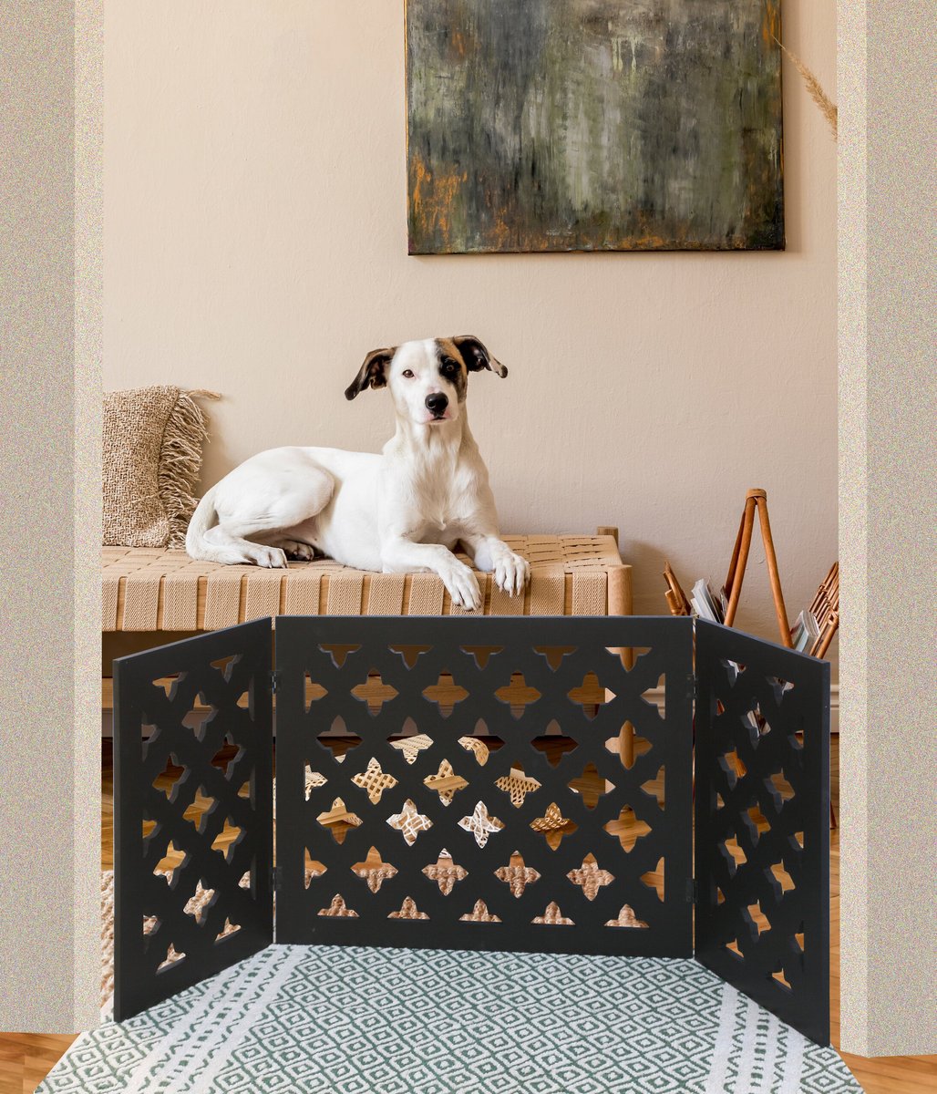 Discontinued - ETNA Starlight Design Dog Gate - Chewy.com