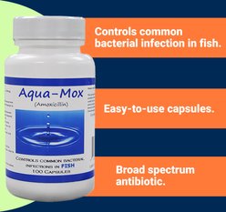 Midland Vet Services Aqua-Mox Amoxicillin Fish Antibiotic, 100 count slide 2 of 2