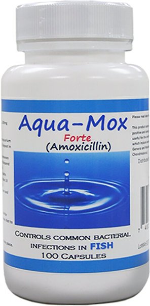 Midland Vet Services Aqua-Mox Forte Amoxicillin Fish Antibiotic, 100 count slide 1 of 1