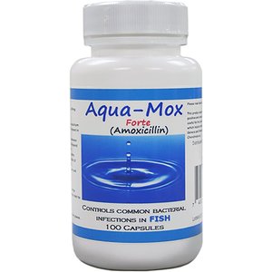 Midland Vet Services Aqua-Mox Forte Amoxicillin Fish Antibiotic, 500-mg, 100 count