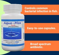 Midland Vet Services Aqua-Mox Forte Amoxicillin Fish Antibiotic, 100 count slide 2 of 2