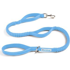 Shed Defender Triton Nylon Bungee Reflective Dog Leash, Columbia Blue, 4 to 7-ft long, 1-in wide