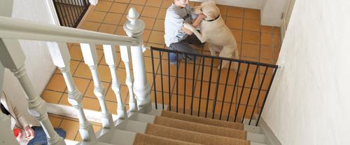 Show full view: Scandinavian Pet Streamline Extra Tall Wall Mounted Dog Gate, Black slide 3 of 8