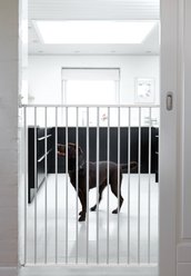 Scandinavian Pet Streamline Extra Tall Wall Mounted Dog Gate, White