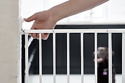 Scandinavian Pet Streamline Extra Tall Wall Mounted Dog Gate, White slide 2 of 6