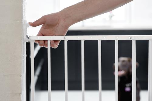 Show full view: Scandinavian Pet Streamline Extra Tall Wall Mounted Dog Gate, White slide 3 of 8