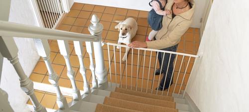 Show full view: Scandinavian Pet Streamline Extra Tall Wall Mounted Dog Gate, White slide 4 of 8