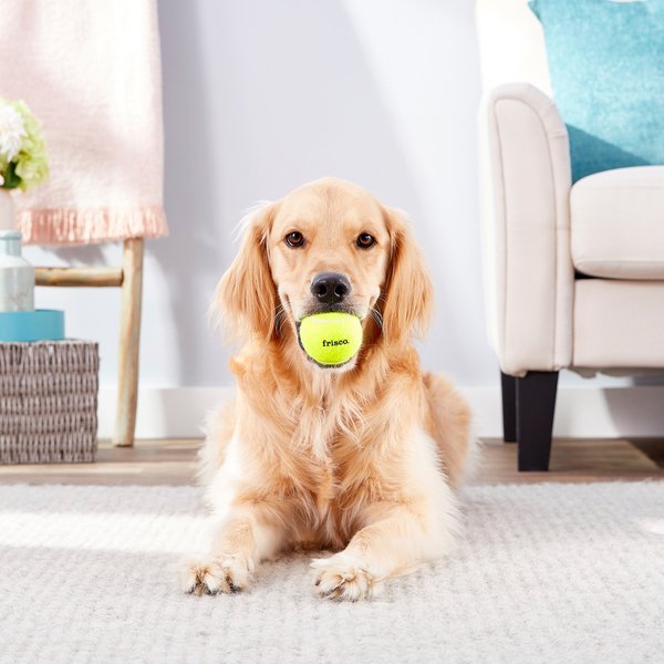 BARK Celestial Lobjects Tough Squeaky Tennis Ball Dog Toys, Medium
