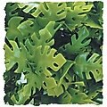 Zoo Med Amazonian Phyllo Artificial Plant