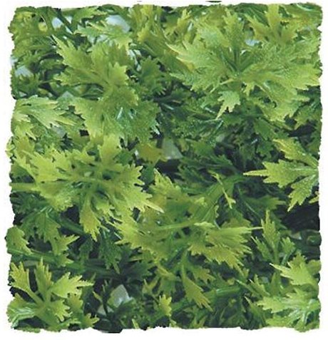 Zoo Med Australian Maple Artificial Plant slide 1 of 1