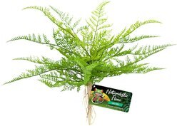 Zoo Med Naturalistic Flora Lace Fern Artificial Plant
