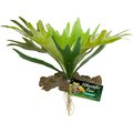 Zoo Med Naturalistic Flora Staghorn Fern Artificial Plant