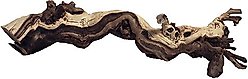Zoo Med Premium Sand Blasted Grapevine Artificial Plant, Medium
