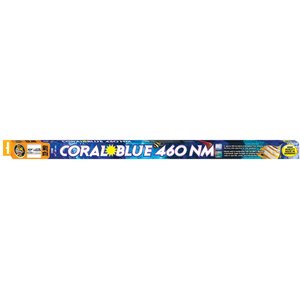 Zoo Med Coral Blue 460nm T5-HO Lamp, 39 x 34-in