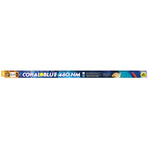 Zoo Med Coral Blue 460nm T5-HO Lamp, 54 x 46-in