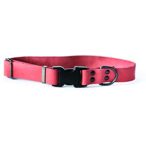 Euro-Dog Sport Style Luxury Leather Dog Collar, Coral, X-Large