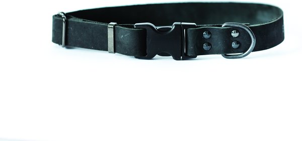 Euro-Dog Sport Style Luxury Leather Dog Collar, Black, Large slide 1 of 7