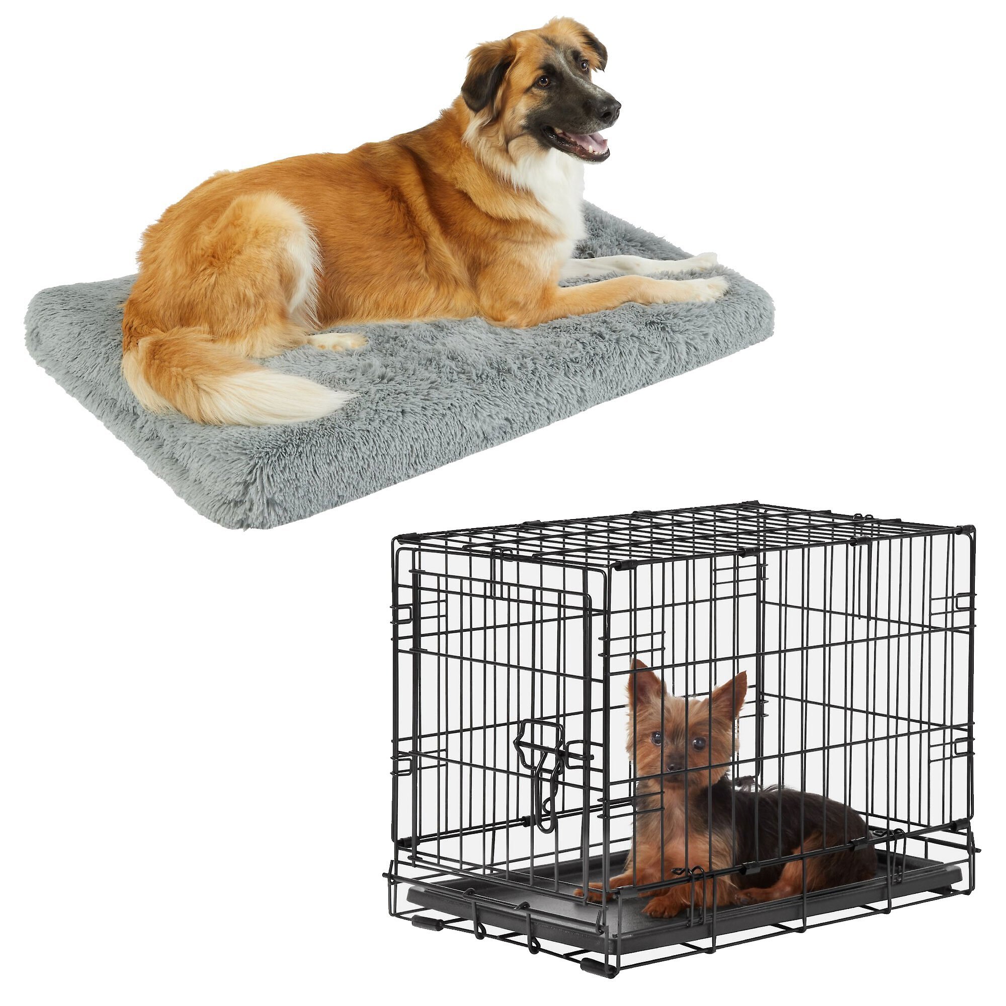 FRISCO Eyelash Orthopedic Dog Crate Mat & Frisco Fold & Carry Single