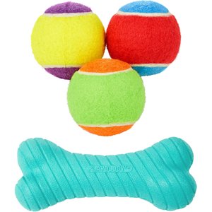 Pet Food Express Rainbow Tennis Ball Dog Toy