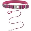 Frisco Outdoor Comfort Print Nylon Padded Collar, Extra Small, Neck: 8-12-in, Width: 5/8th -in + Outdoor Ultra Reflective Rope Leash With Padded Handle, Boysenberry Purple, 6 - ft