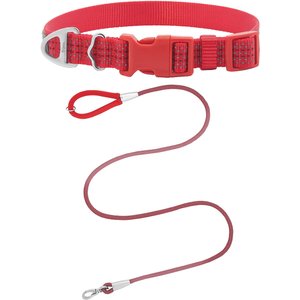 Frisco Outdoor Frisco Nylon Collar, Flamepoint Orange, Small-Neck: 10-14-in, Width: 5/8-in + Rope Leash With Padded Handle, Sunset Orange, 6-ft