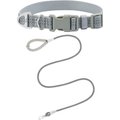 Frisco Outdoor Nylon Collar, forest Green, Small-Neck: 10-14-in, Width: 5/8-in + Rope Leash with Padded Handle, Stone Gray, 6-ft