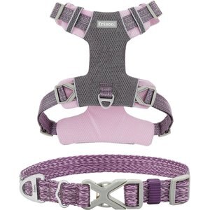 Frisco Outdoor Lightweight Ripstop Nylon Harness, Shadow Purple, Small, Neck: 13 to 19-in, Girth: 16 to 22-in + Heathered Nylon Collar, Shadow Purple, Small - Neck: 10-14-in, Width: 5/8-in