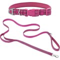 Frisco Outdoor Nylon Reflective Comfort Padded Collar, Boysenberry Purple, Extra Small, Neck: 8-12-in, Width: 5/8th -in + Dog Leash, Boysenberry Purple, Small - Length: 6-ft, Width: 5/8-in