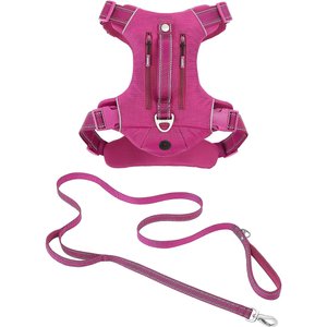 Frisco Outdoor Premium Ripstop Nylon Harness with Pocket, Boysenberry Purple, Extra Large, Neck: 22 to 34-in, Girth: 32 to 44-in + Reflective Comfort Padded Dog Leash, Boysenberry Purple, Large - Length: 6-ft, Width: 1-in