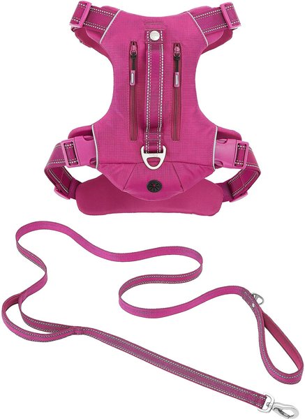 Frisco Outdoor Premium Ripstop Nylon Harness with Pocket, Boysenberry Purple, Large, Neck: 18 to 28-in, Girth 24 to 34-in + Reflective Comfort Padded Dog Leash, Boysenberry Purple, Large - Length: 6-ft, Width: 1-in slide 1 of 9