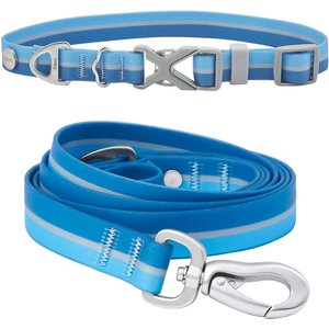 Frisco Outdoor Two Toned Waterproof Stink Proof PVC Collar, River Blue, Medium - Neck: 14½20-in, Width: 3/4-in + Dog Leash, River Blue, Medium - Length: 6-ft, Width: 3/4-in
