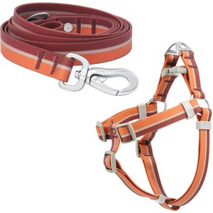 Frisco Outdoor Two Toned Waterproof Stink Proof PVC Leash, Sunset Orange, Large - Length: 6-ft, Width: 1-in + Dog Harness, Flamepoint Orange, Large, Neck: 19 to 27-in, Girth: 23 to 36-in