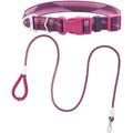 Frisco Outdoor Woven Jacquard Nylon Dog Collar, Boysenberry Purple, Extra Small, Neck: 8-12-in, Width: 5/8th -in + Ultra Reflective Rope Leash With Padded Handle, Boysenberry Purple, 6 - ft