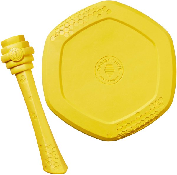 Project Hive Pet Company Fetch Stick + Frisbee Dog Toy slide 1 of 9