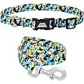 STAR WARS STORMTROOPER Collar, LG - Neck: 18 - 26-in, Width: 1-in + Dog Leash, LG - Length: 6-ft, Width: 1-in
